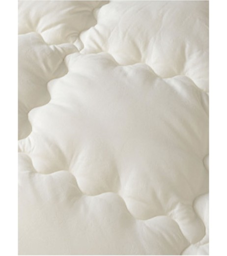 Home Comforter Modern Simple Pure Color Soft Winter Quilt