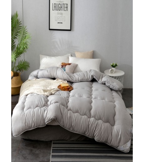 Comforter Pure Color Elegant Comfy Spring Autumn Quilt